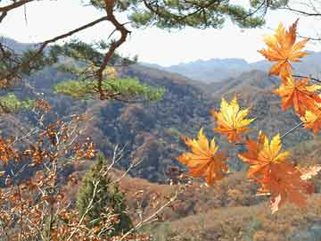 芜湖县应急管理局最新领导团队及其职责