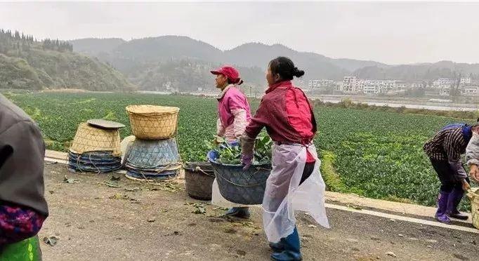 多康村最新领导风采