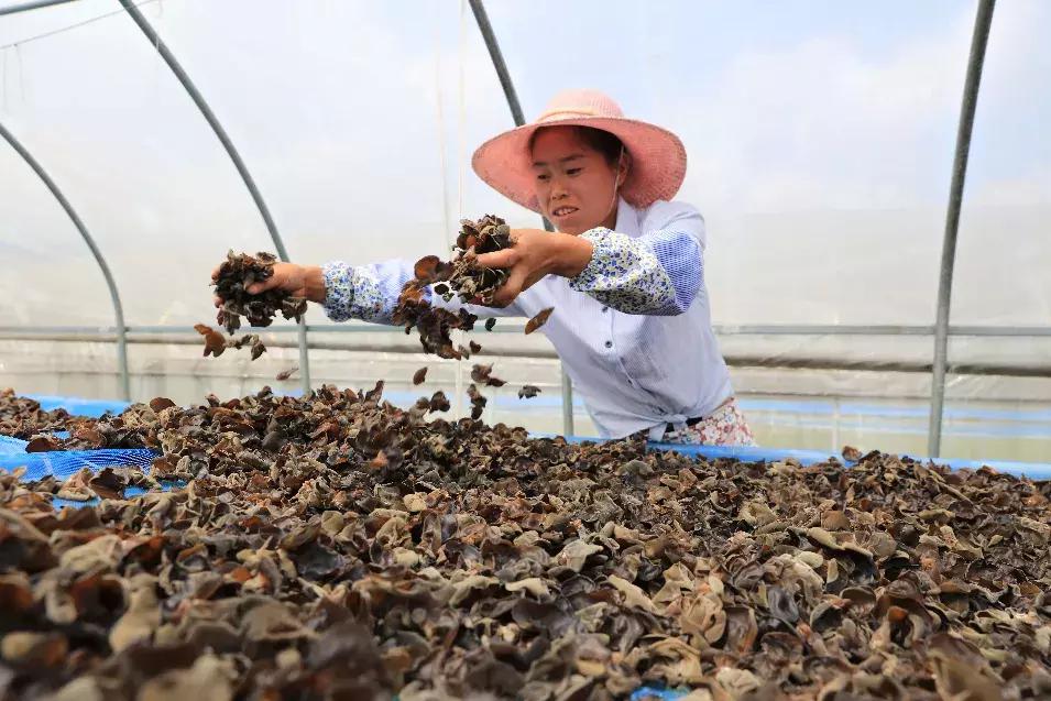 毕节市教育局最新领导团队，引领教育革新，塑造未来之光