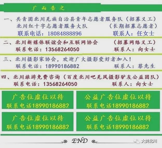 贾宋镇最新招聘信息概览