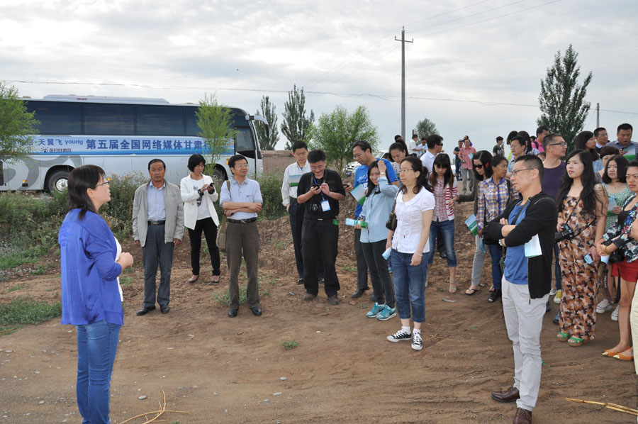 东岳观镇最新项目，引领地区发展的崭新动力